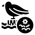 bird_12426540